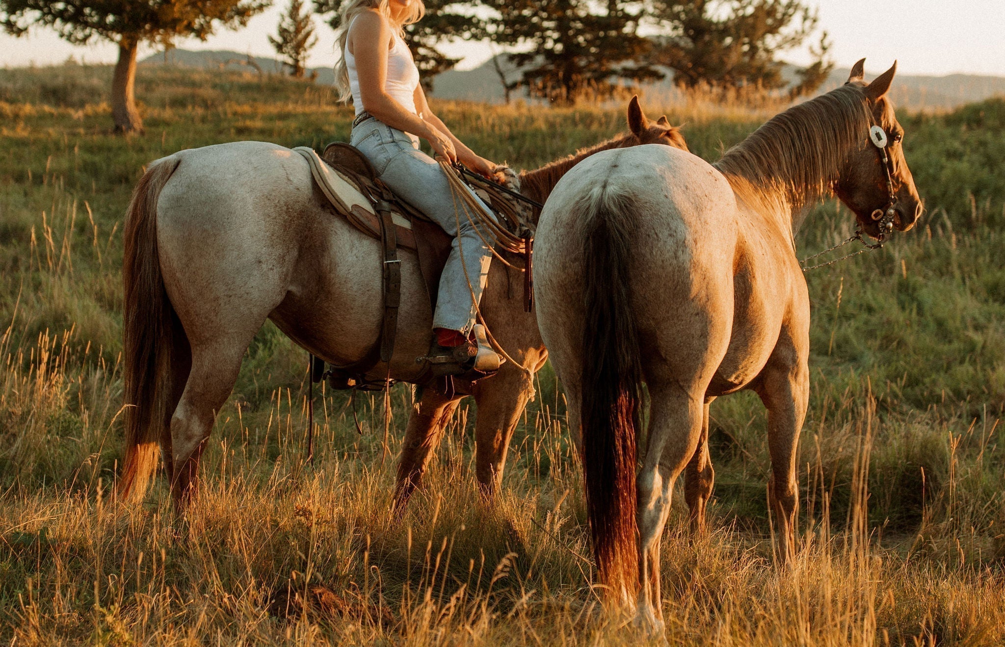 EVERY DAY PERFUME FOR THE COWGIRL