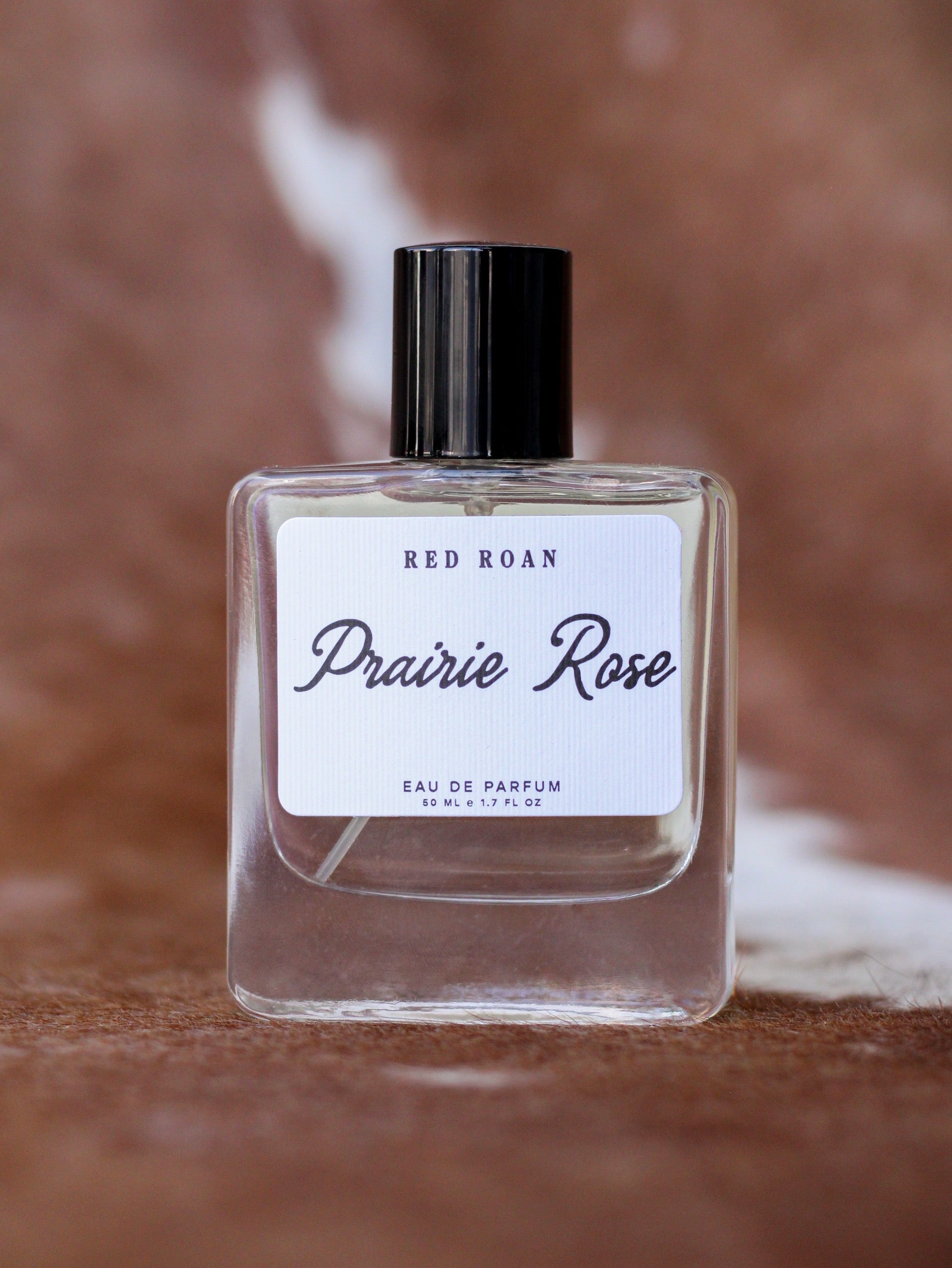 PRAIRIE ROSE